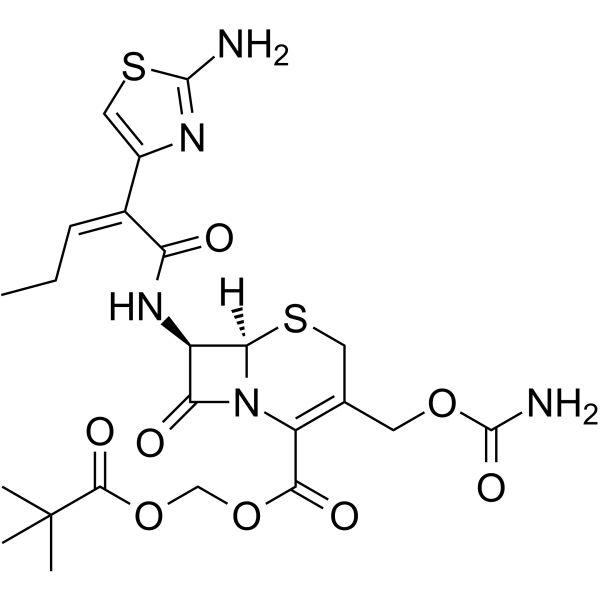 Cefcapene pivoxil 105889-45-0